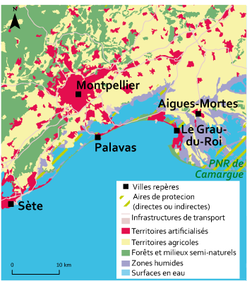 Le Gofle d'Aigues-Mortes